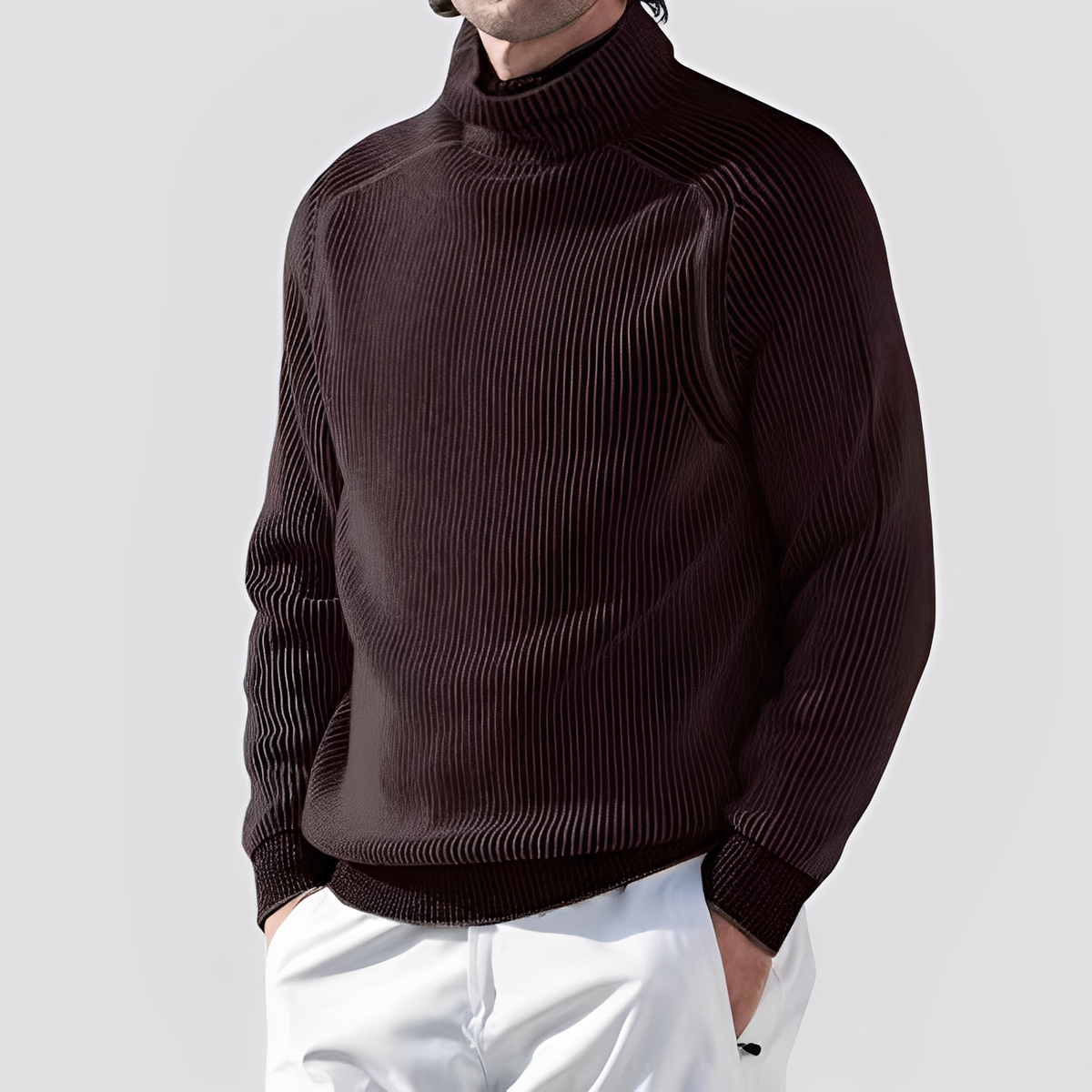 Chadwick - Bequemer Rollkragenpullover